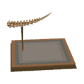 Pachy Tail WW Model.png