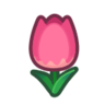 pink tulips