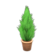 Cypress plant's Brown variant