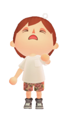 NH Player Sleepy.png