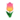 Pink Spring Tulip PC Icon.png