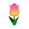 Pink Spring Tulip PC Icon.png