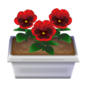 red pansies