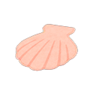 shell rug