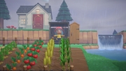 Nintendo Music ACNH 9 00 AM - Rainy.jpg