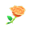 orange roses
