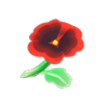 red pansies