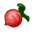 Red Turnip CF Icon 5.png