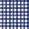 Checkered 1 - Fabric 1 NH Pattern.png