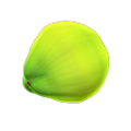Coconut NH Icon.png
