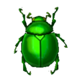 Fruit Beetle NL Model.png