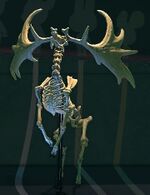NH Megaloceros Museum.jpg