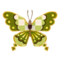 Green Checkerfly PC Icon.png