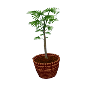 Lady Palm CF Model.png