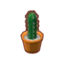 Tall Mini Cactus PC Icon.png