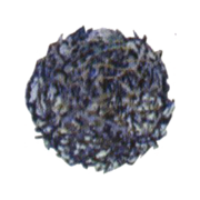Tumbleweed e+.png