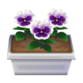 White Pansies CF Model.png