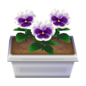 White Pansies CF Model.png