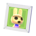 Coco's Pic NL Model.png