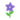 Purple Starflowers PC Icon.png