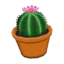Round Cactus CF Model.png