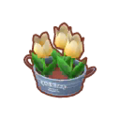 Yellow Spring Tulips PC Icon.png
