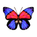 Agrias Butterfly NL Model.png