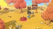NH Fall.jpg