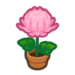 Pink-Mum Plant NH Inv Icon.png