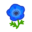 Blue Windflower