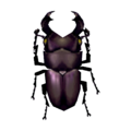 Giant Beetle CF Model.png