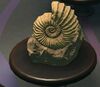 NH Ammonite Museum.jpg