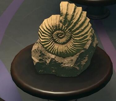 NH Ammonite Museum.jpg