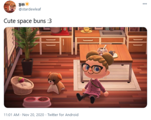 NH Space Buns Tweet.png