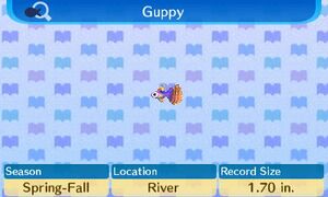 NL Encyclopedia Guppy.jpg