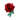 Red Shredrose PC Icon.png