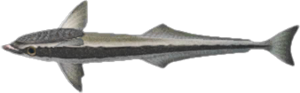 In-game image of suckerfish