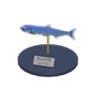 anchovy model