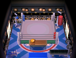 NL Boxing Theme.png