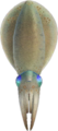 Squid NH.png