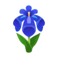 Blue Iris PC Icon.png