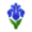 Blue Iris PC Icon.png