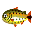 Dorado PC Icon.png