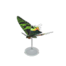 M. sunset moth model