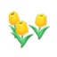 yellow-tulip plant