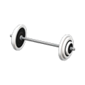 Barbell (White) NH Icon.png