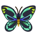 Birdwing Butterfly PC Icon.png