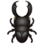 dorcus stag beetle
