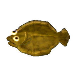 Olive Flounder NL Model.png