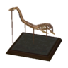 plesio model